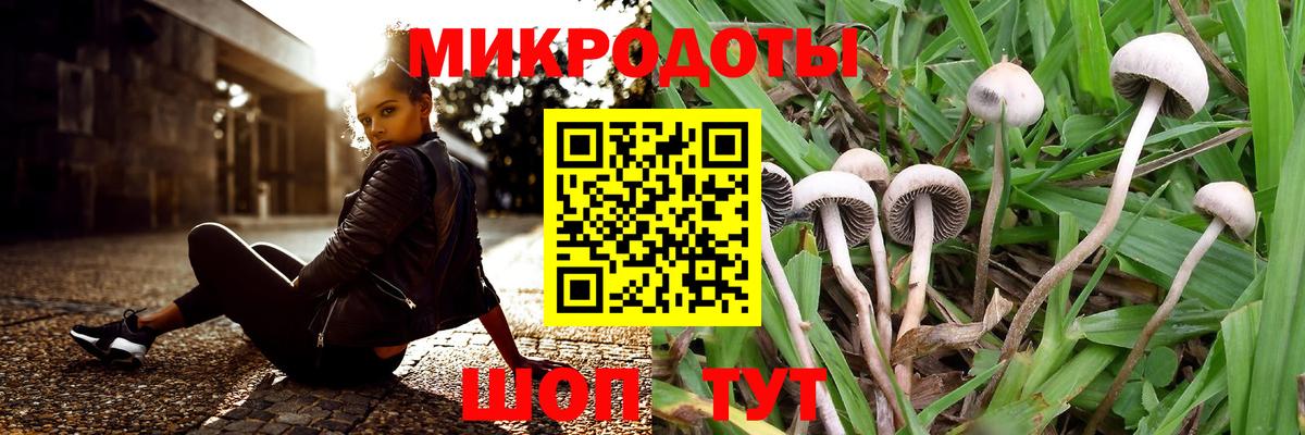 Севастополь  хочу   Вход с VPN  Галлюциногенные грибы GOLDEN TEACHER 