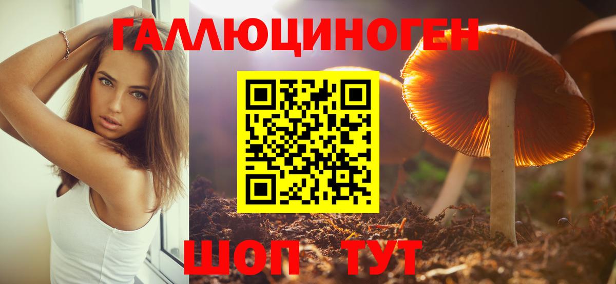Псилоцибиновые грибы Psilocybe Севастополь
